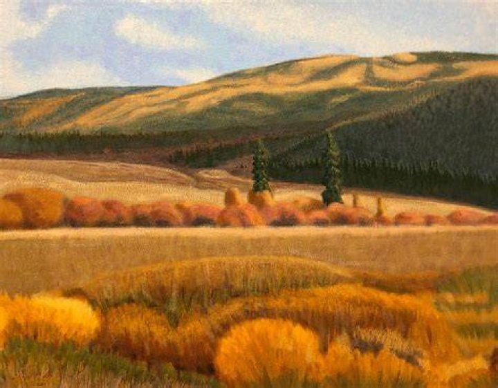 Ann Crook