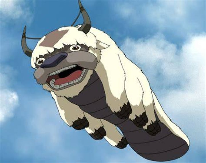 Appa