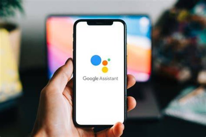 Assistant