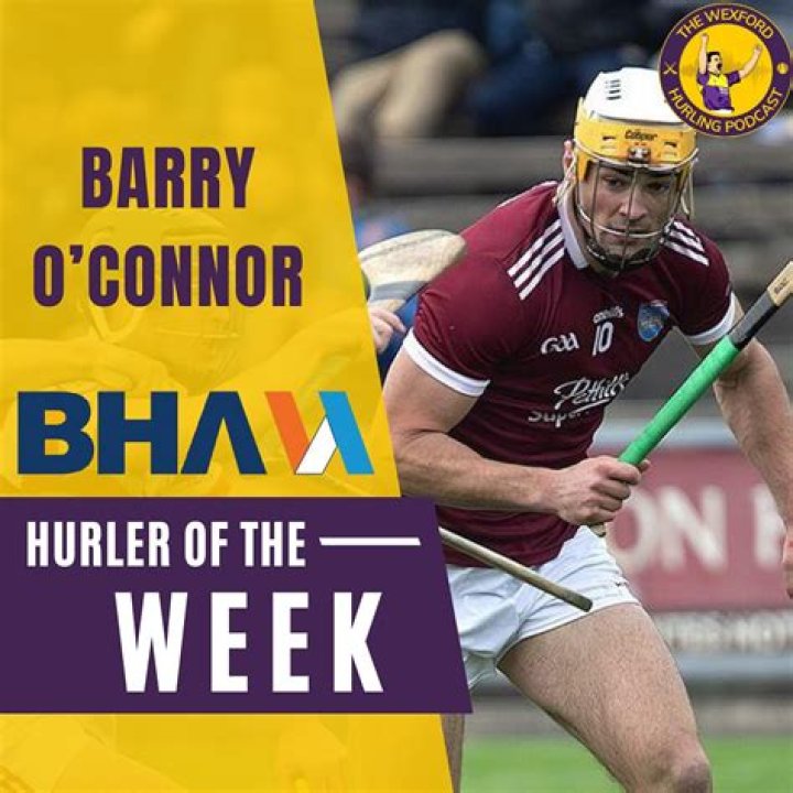 Barry Johnson (hurler)