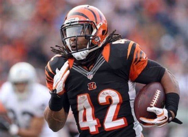 BenJarvus Green-Ellis Net Worth