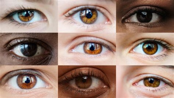 Brown Eyes