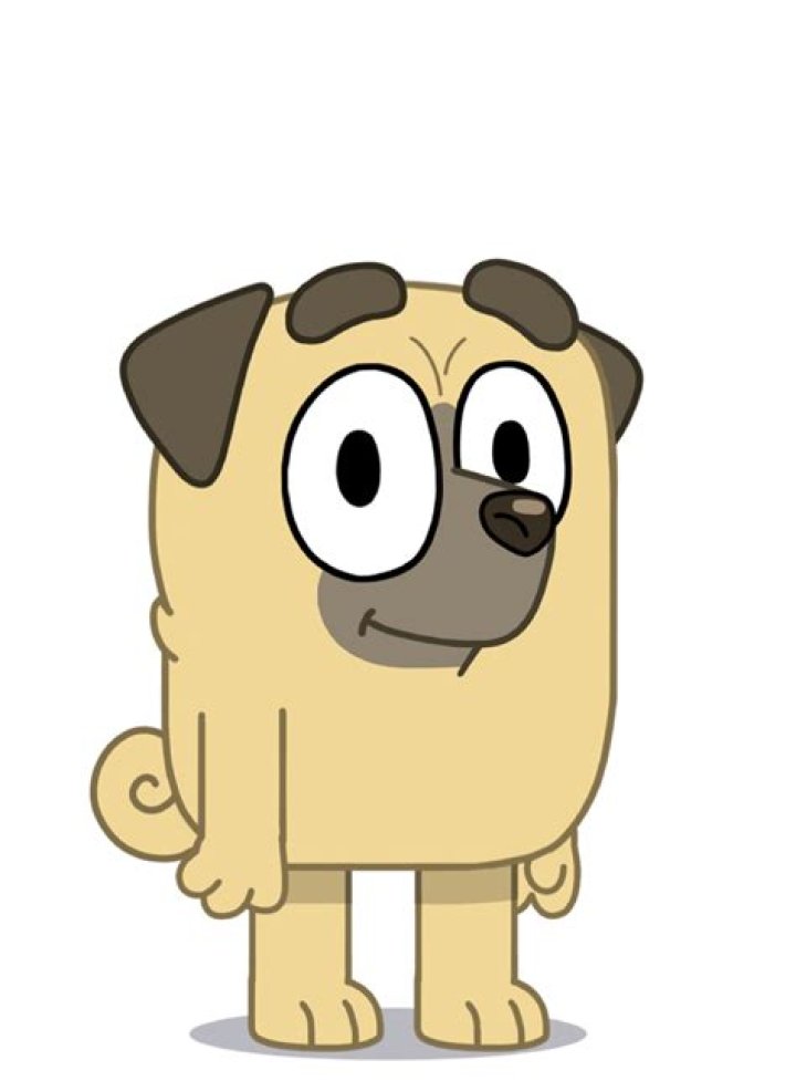 Buddy