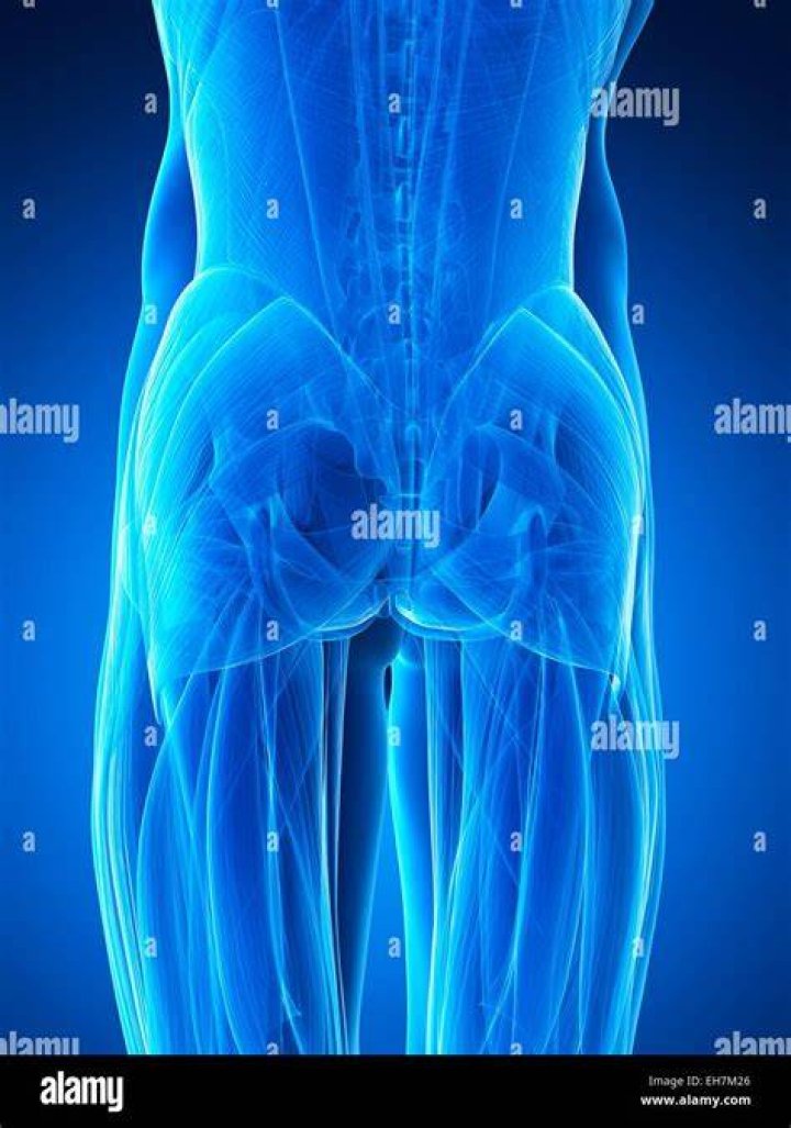 Bum