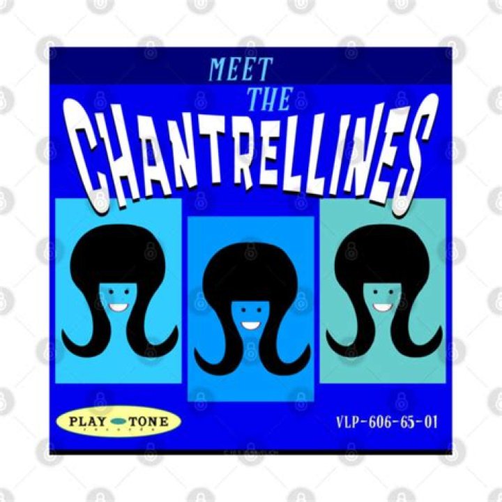 Chantrellines Member