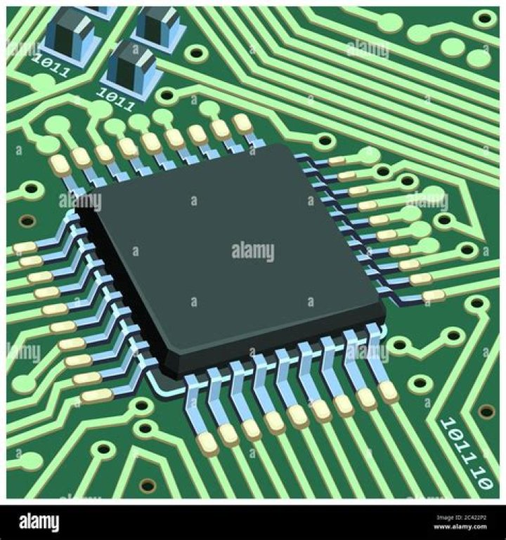 Chip