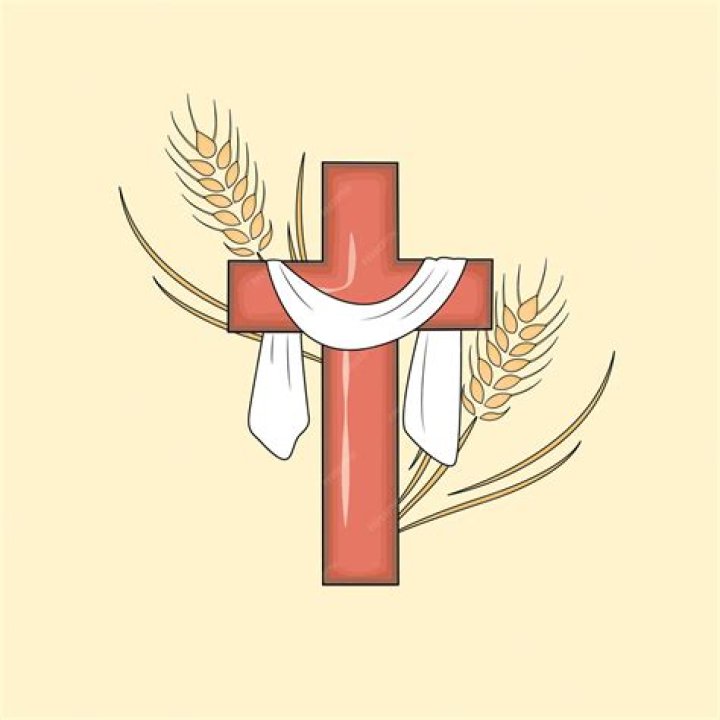 Cruz