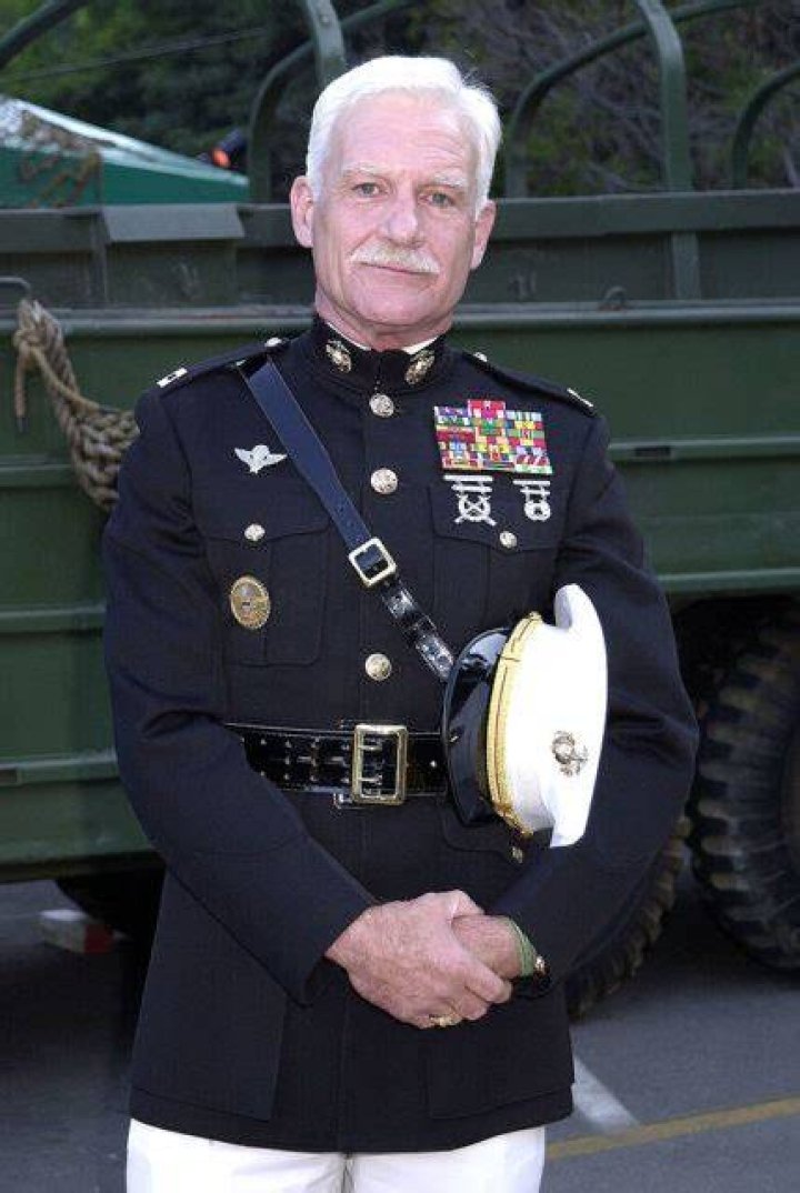 Dale Dye Net Worth
