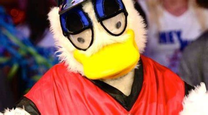 Dickie Knee / Plucka Duck