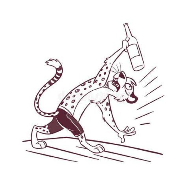 Drunk at Cheetah