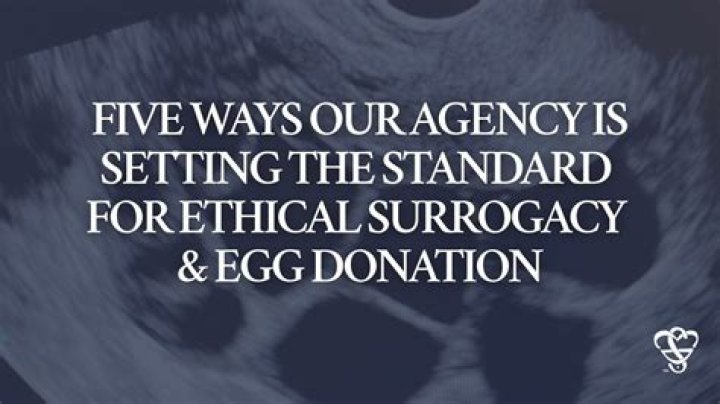 Egg Donor Client