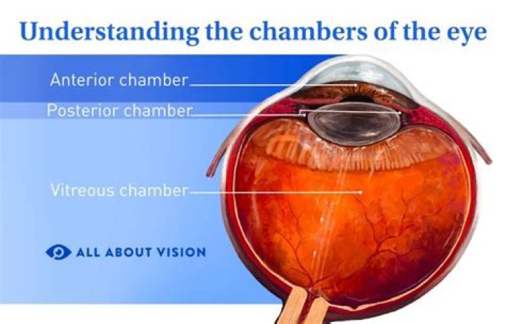Eyeball Chambers