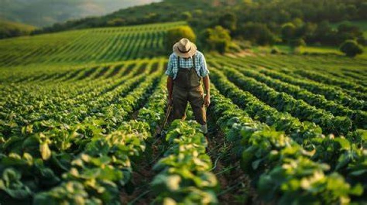 Farmer