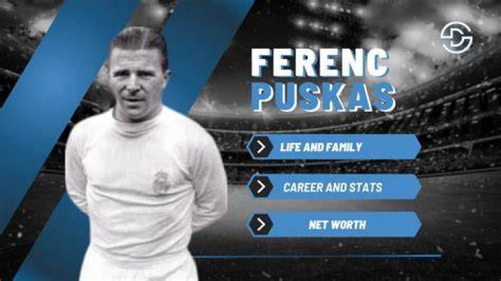 Ferenc Seb&ouml; Net Worth