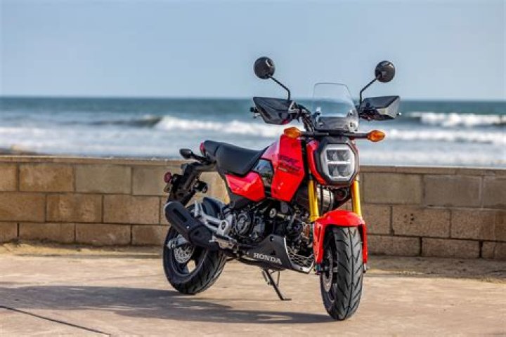 Gary / Grom Rockrider