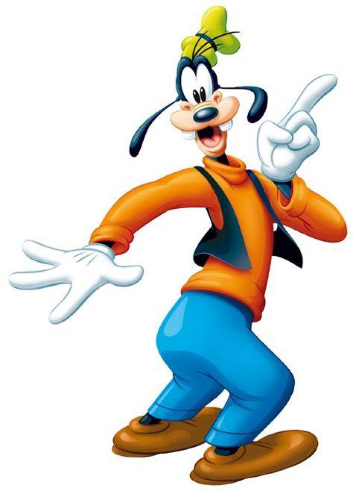 Goofy Delegate