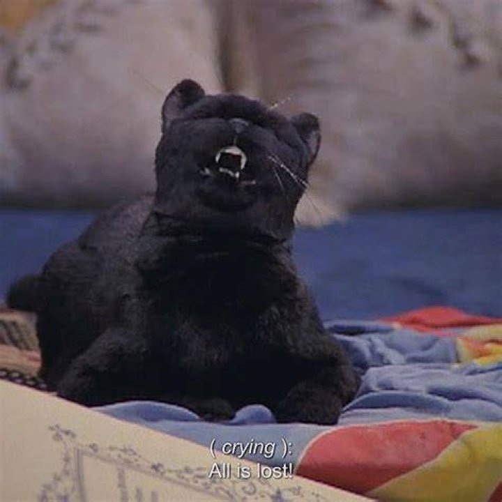 Gordie / Salem Saberhagen / Student #1