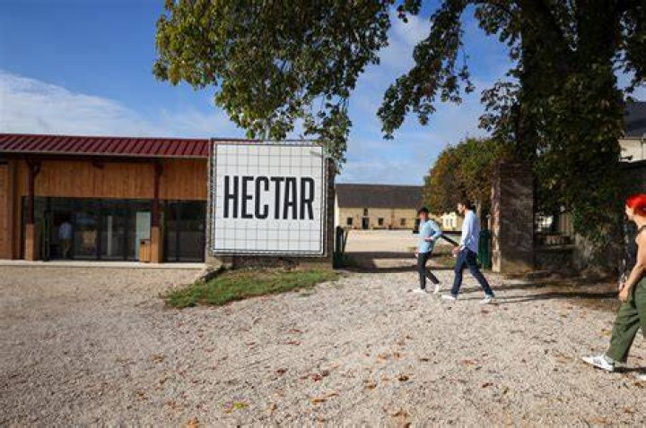 Hectar
