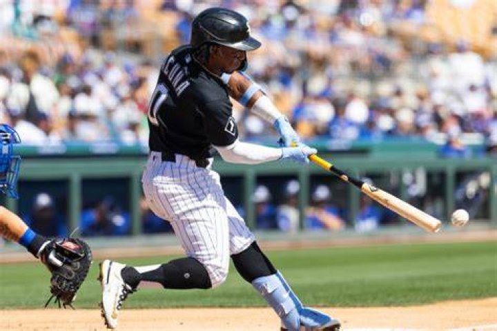 Himself - AL Outfielder: Chicago White Sox
