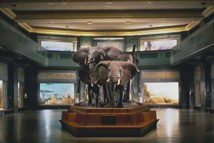 Himself - American Museum of Natural History / Himself - Astrophysicist, American Museum of Natural History / Himself - American Museum of Natural HJistory