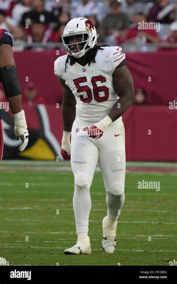 Himself - Arizona Cardinals Defensive End / Himself - Detroit Lions Defensive End