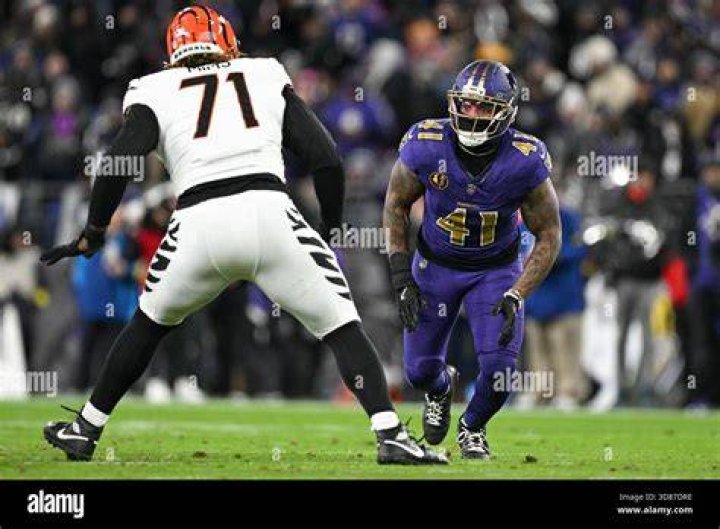 Himself - Baltimore Ravens Tackle