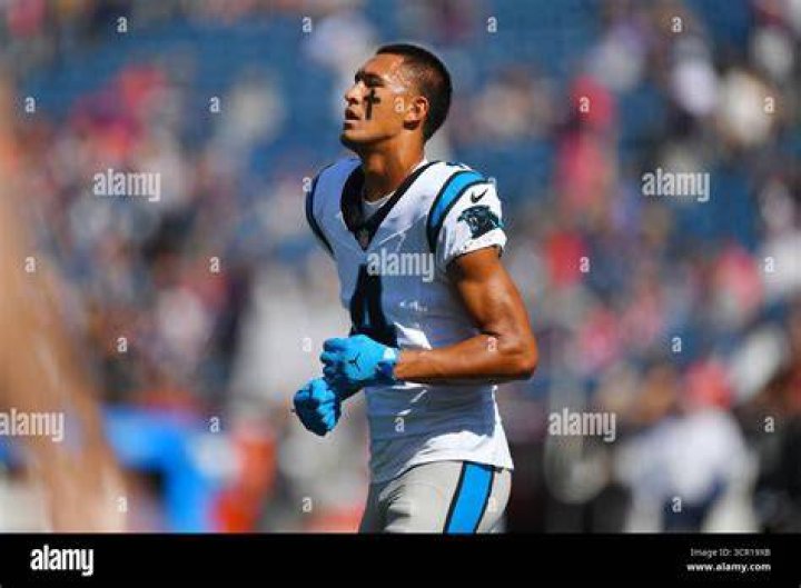 Himself - Carolina Panthers Wide Receiver / Running Back / Himself - Pittsburgh Steelers Running Back / Himself - Pittsburgh Steelers Wide Receiver