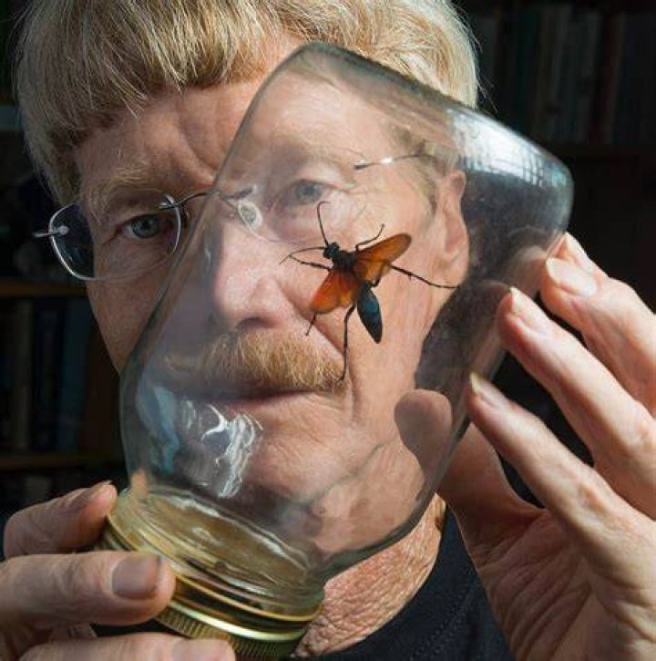 Himself - Entomologist