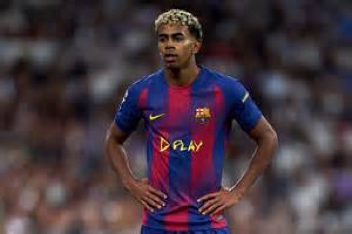 Himself / Himself - Barcelona / Em Kval / Himself - Fr&aring;n Malm&ouml; / Himself - Klubb AC Milan / Himself -vinnare