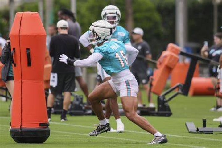 Himself - Miami Dolphins Linebacker
