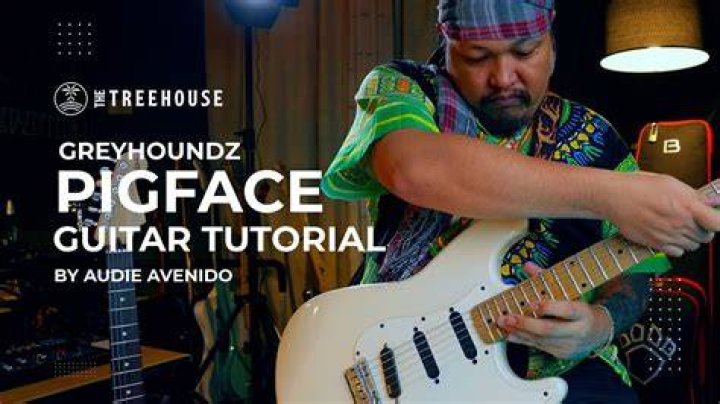 Himself - Pigface, Guitar