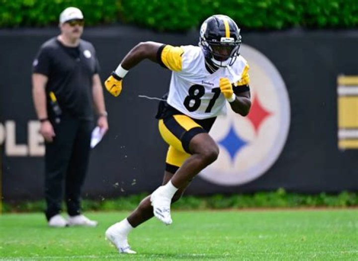 Himself - Pittsburgh Steelers Wide Receiver