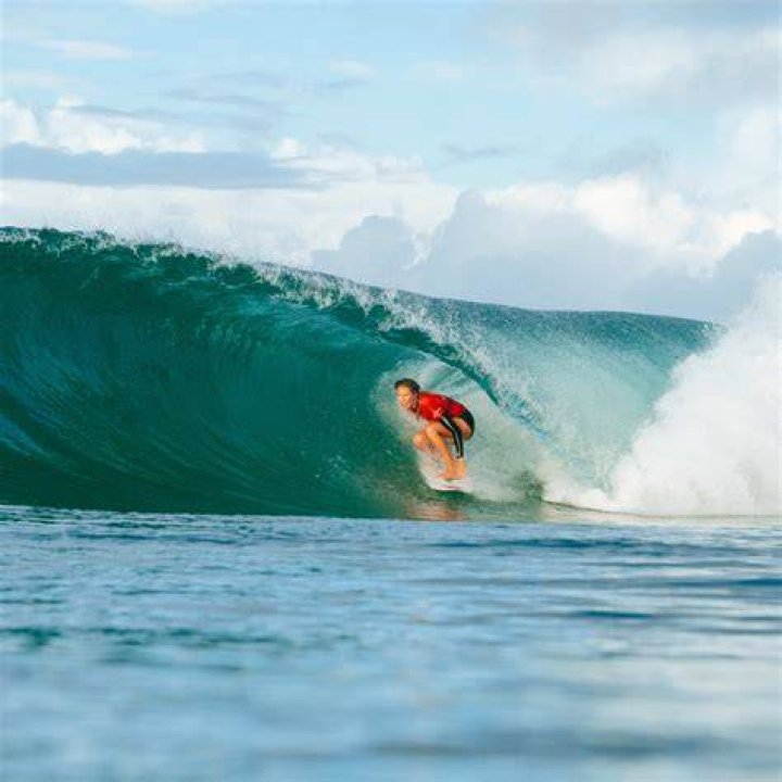 Himself - Pro Surfer