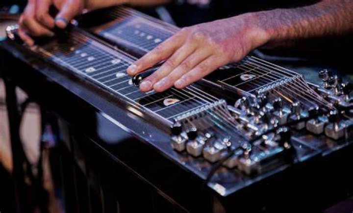 Himself - Steel Guitar Player / Himself - Steel Guitarist / Himself - Steel Guitar Playr