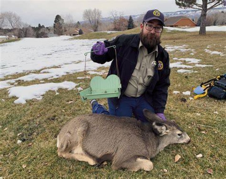 Himself - Wildlife Officer