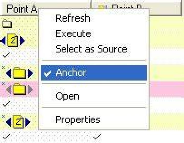 Host-Anchor
