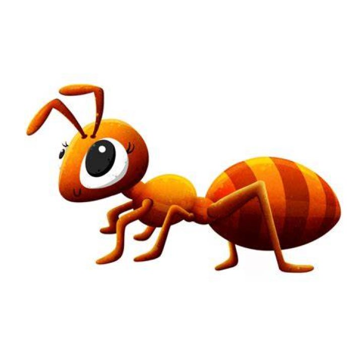 Lulu / Ant Kid #1