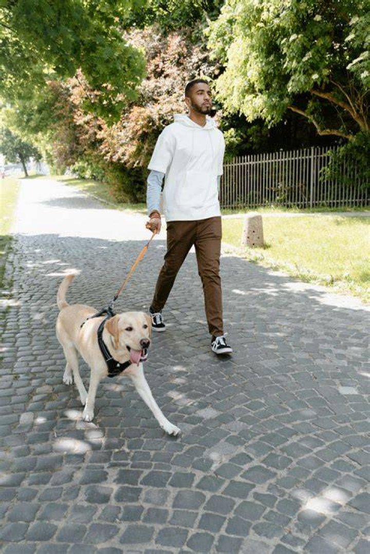 Man with Dog