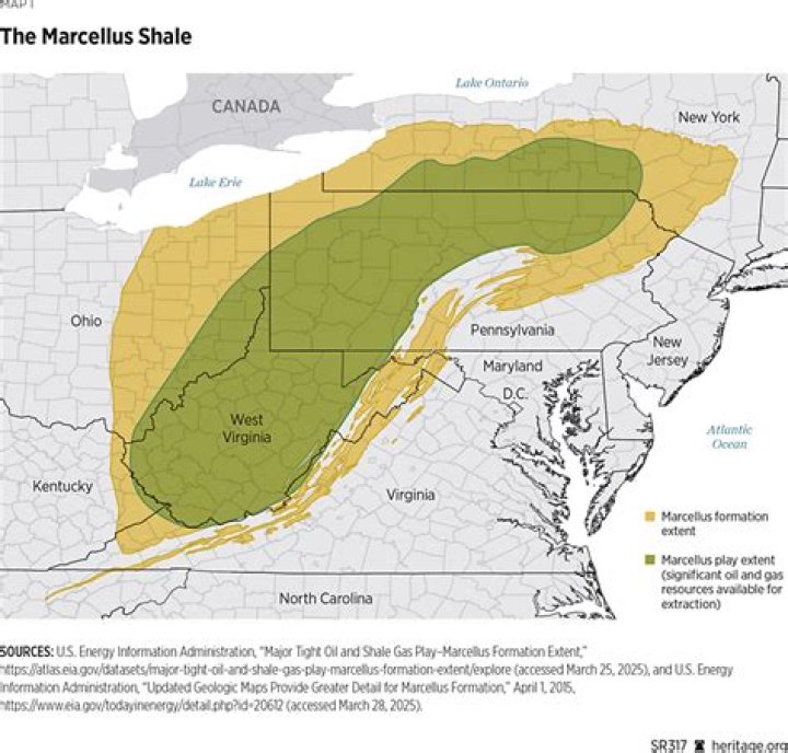 Marcellus