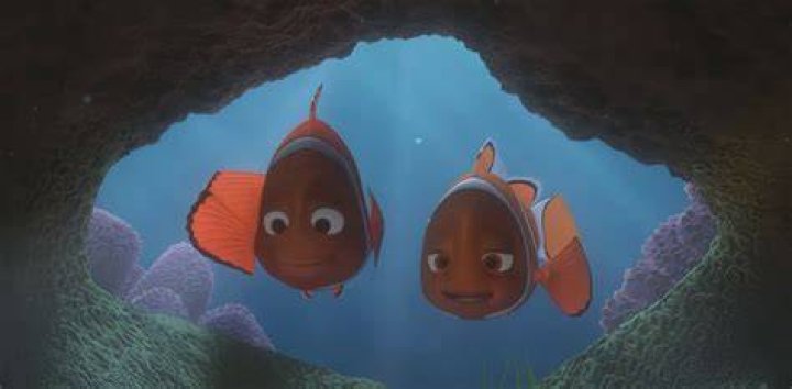Nemo