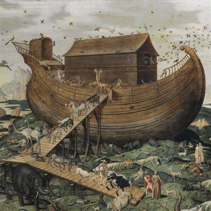 Noah Boat