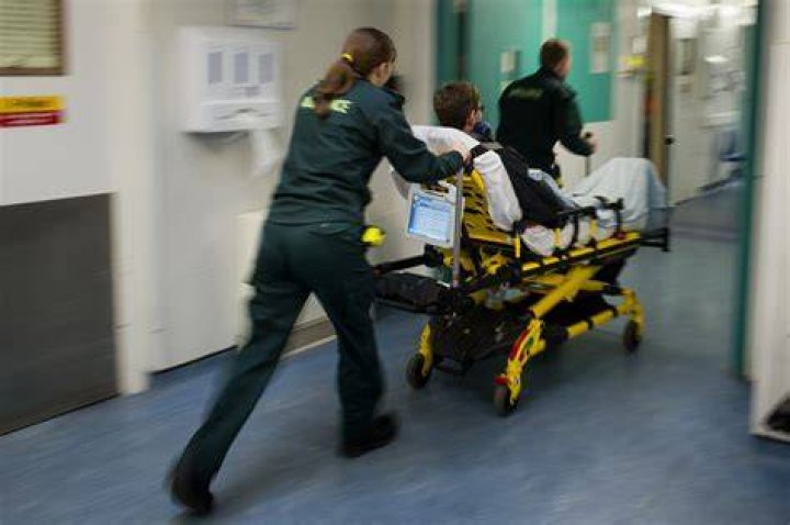 Paramedic 2