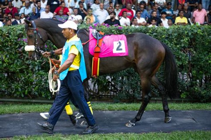 Seattle Race Starter