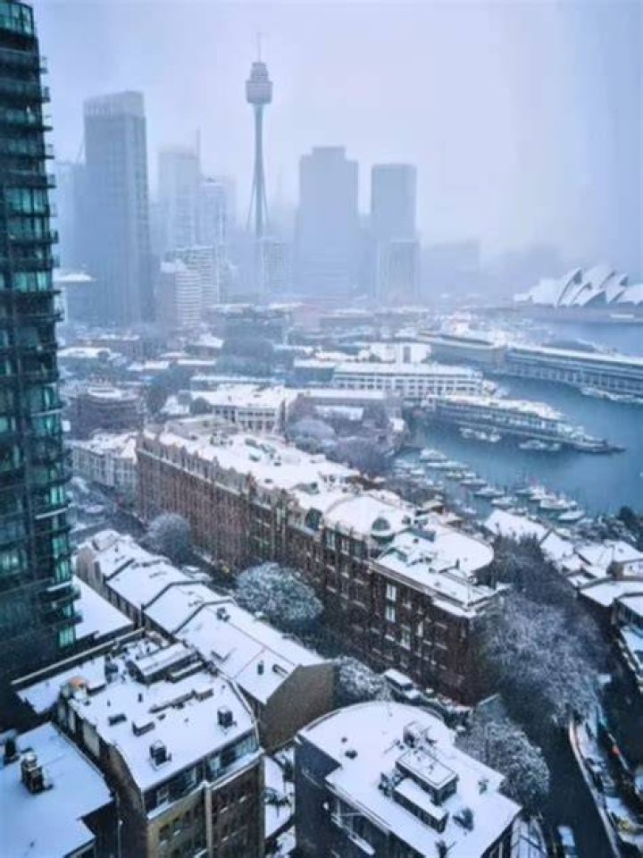 Sydney Snow