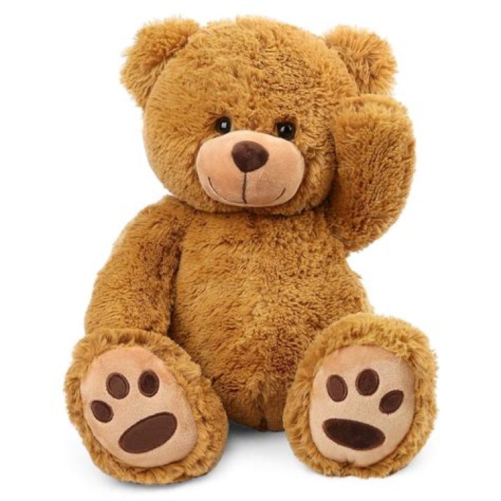 Teddy