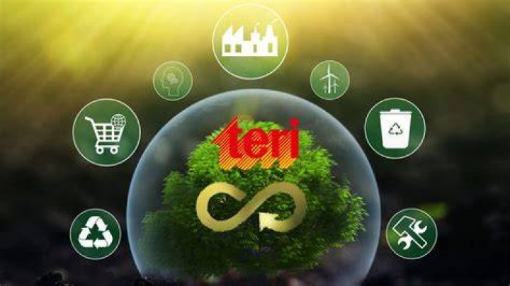 Teri