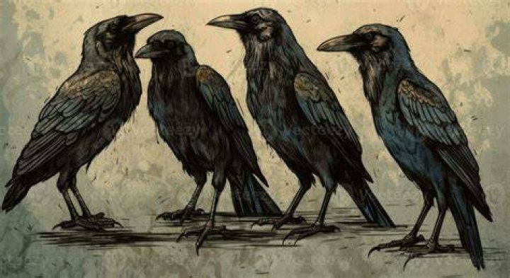 The Four Crows