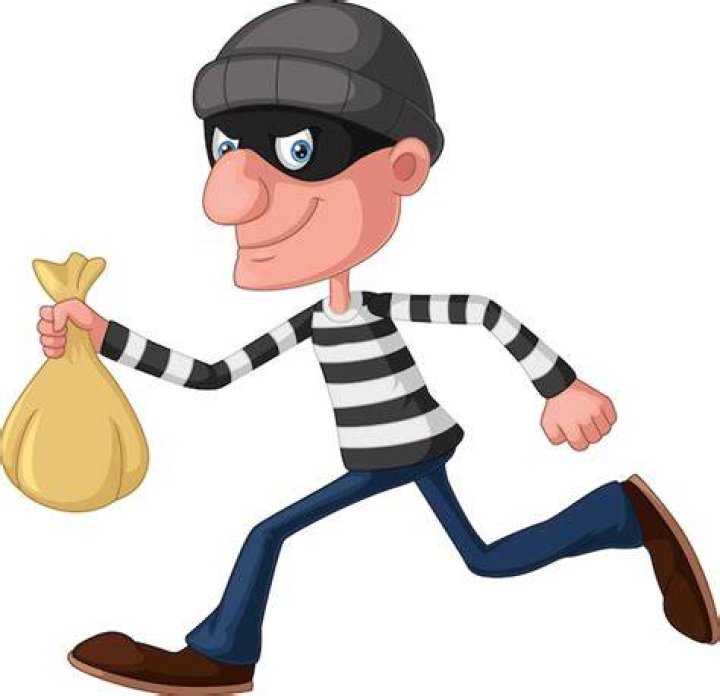 Thief