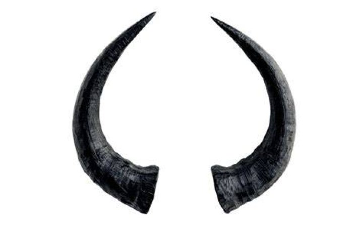 Two Horns