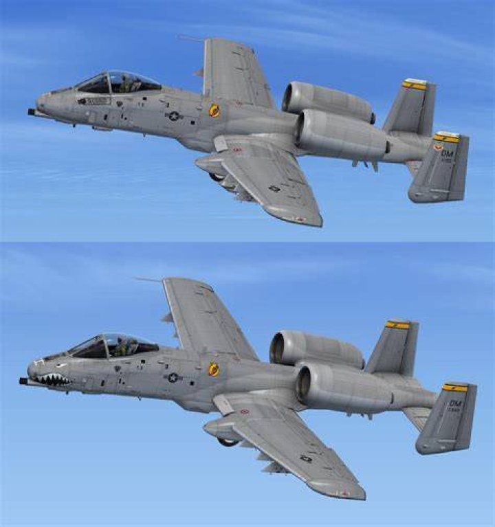Warthog Driver / Additional Voices